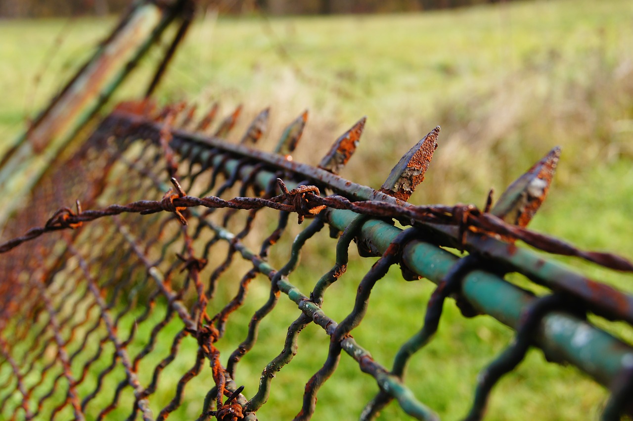 stainless pointed fence free photo