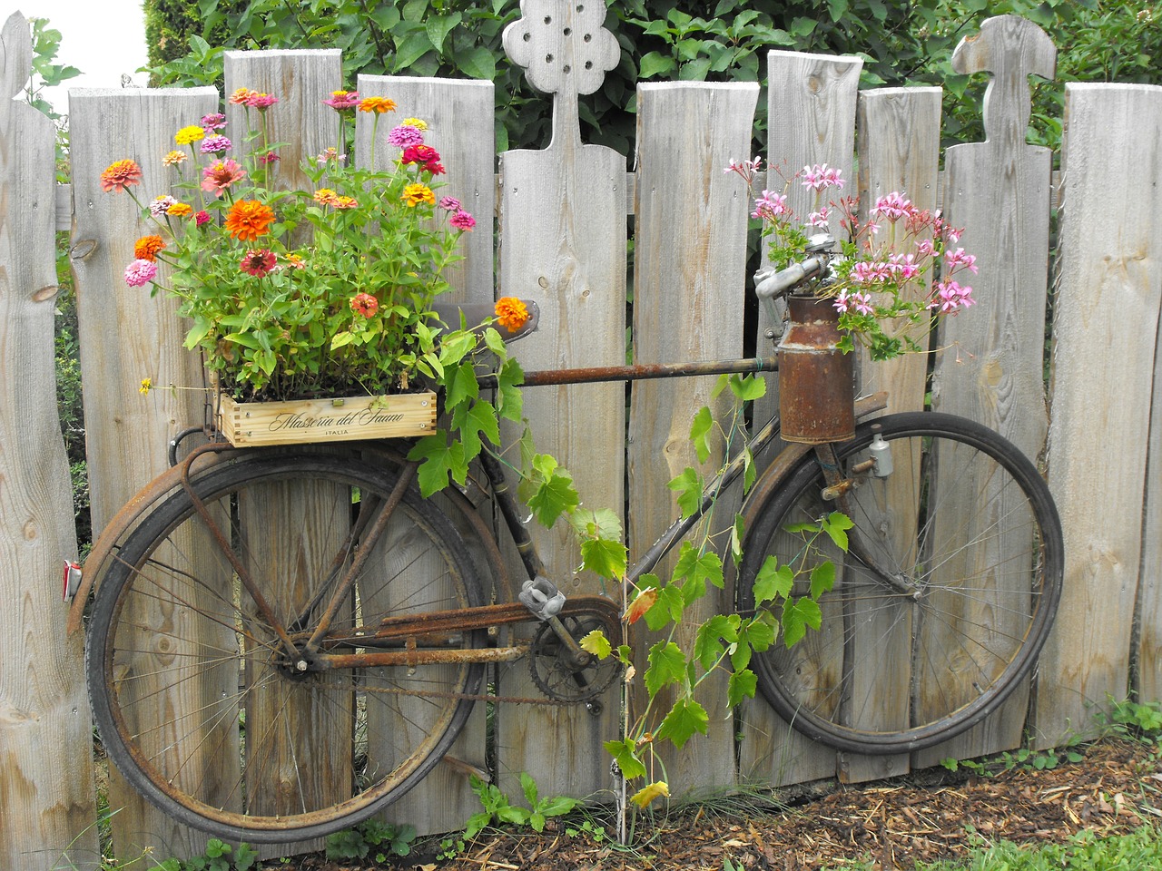 stainless bike garden free photo