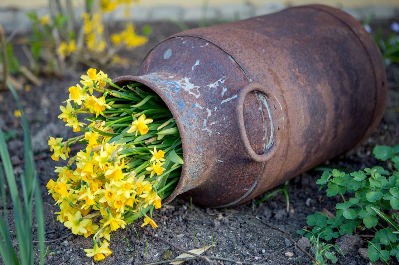 stainless flowers yellow flowers free photo