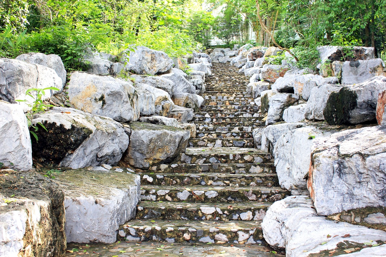 stair nature forest free photo