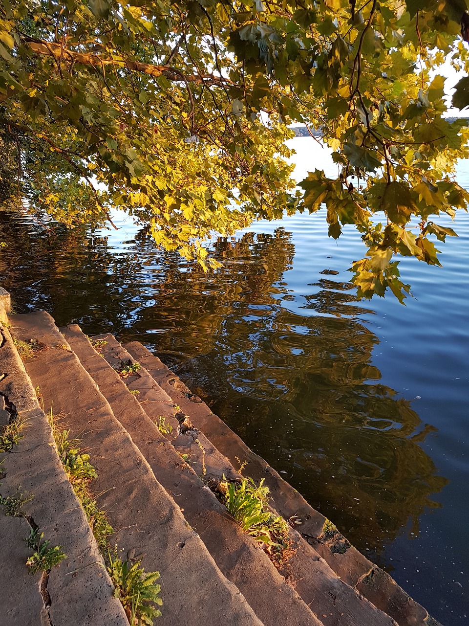 stair lake autumn free photo