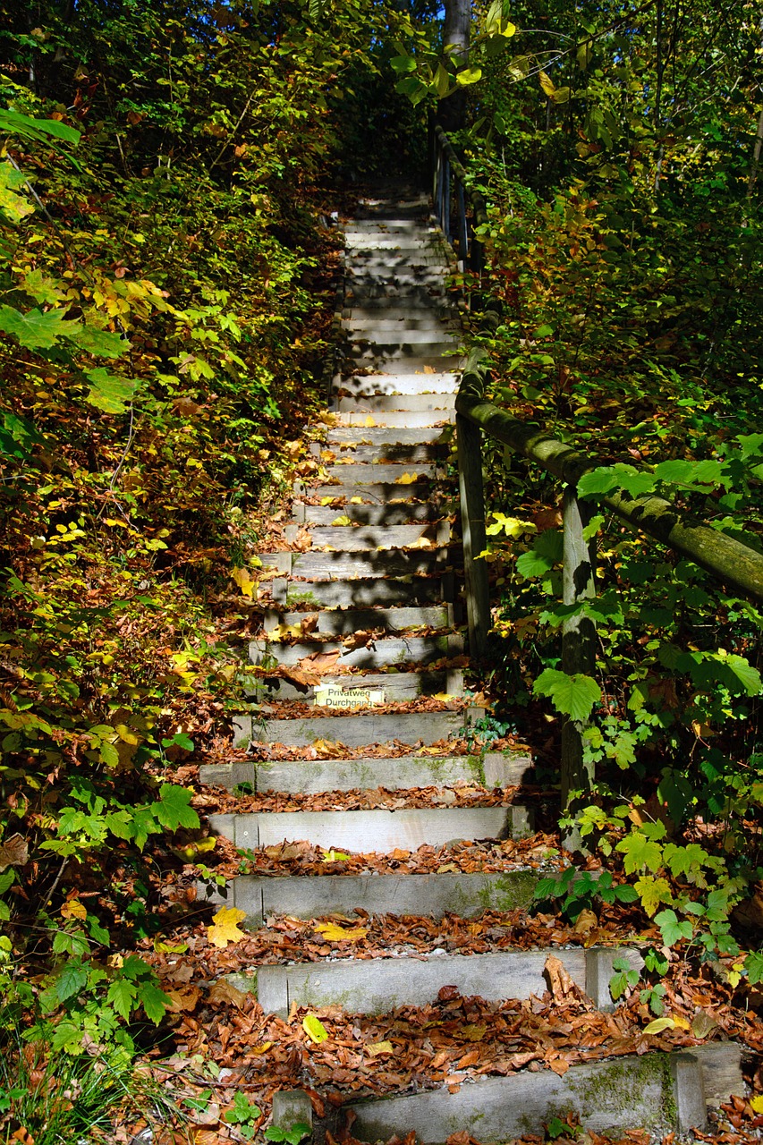 stair step gradually stairs free photo