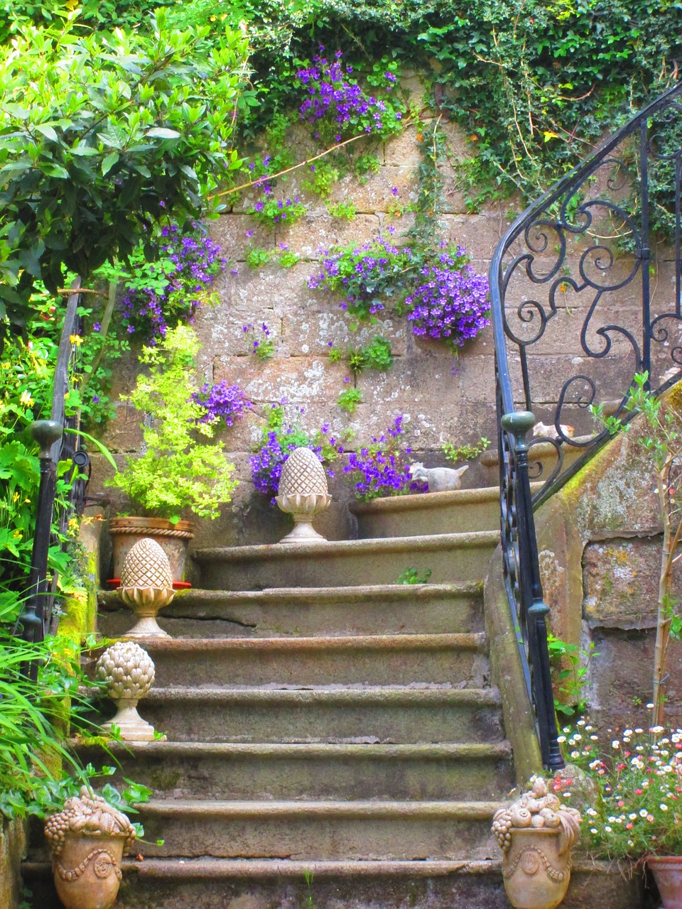 staircase old flowers free photo