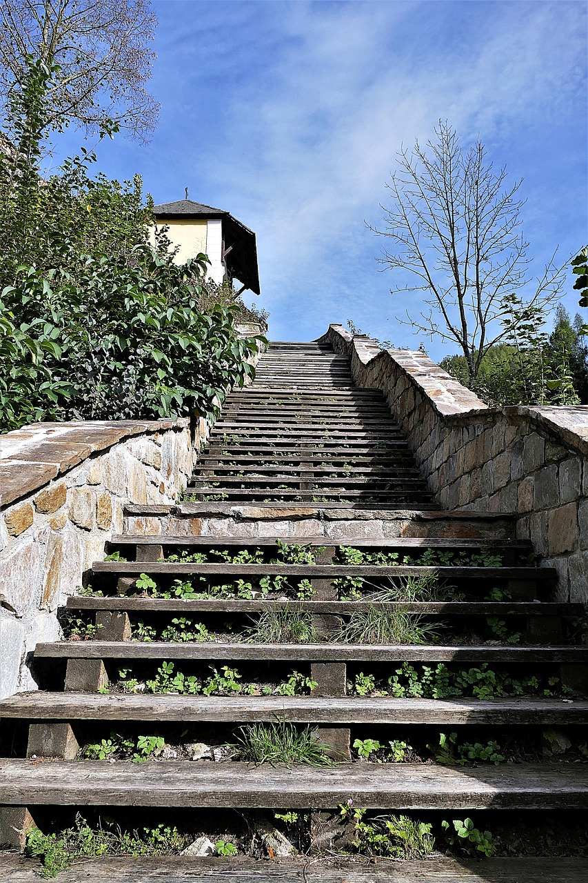 staircase emergence wooden ladders free photo