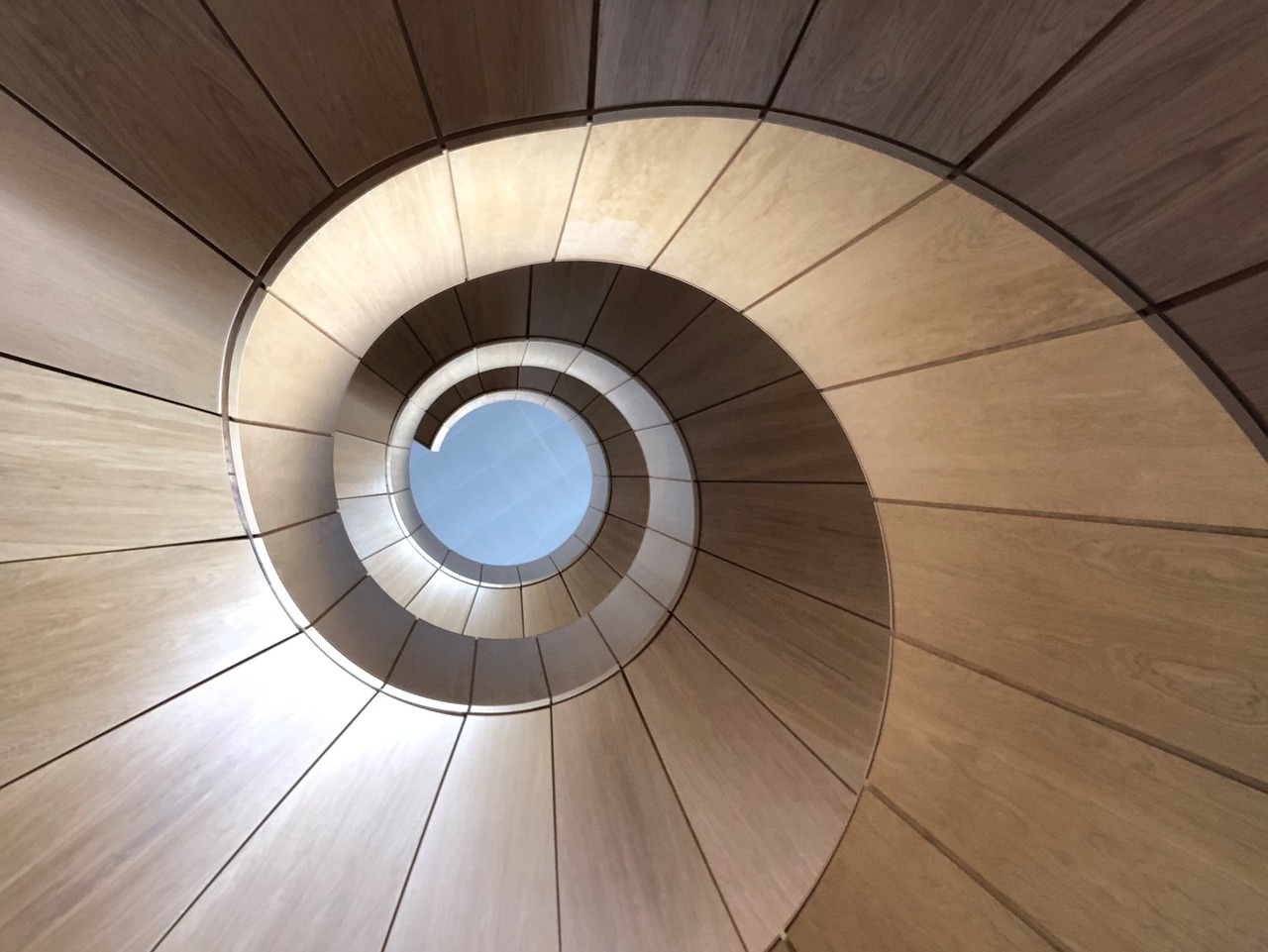 staircase  spiral  architecture free photo