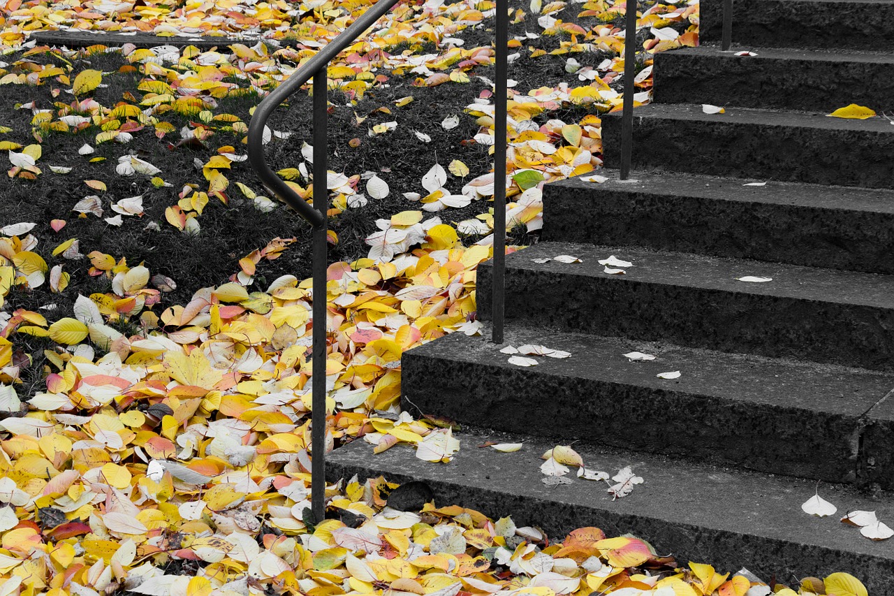 staircase stockholm autumn free photo