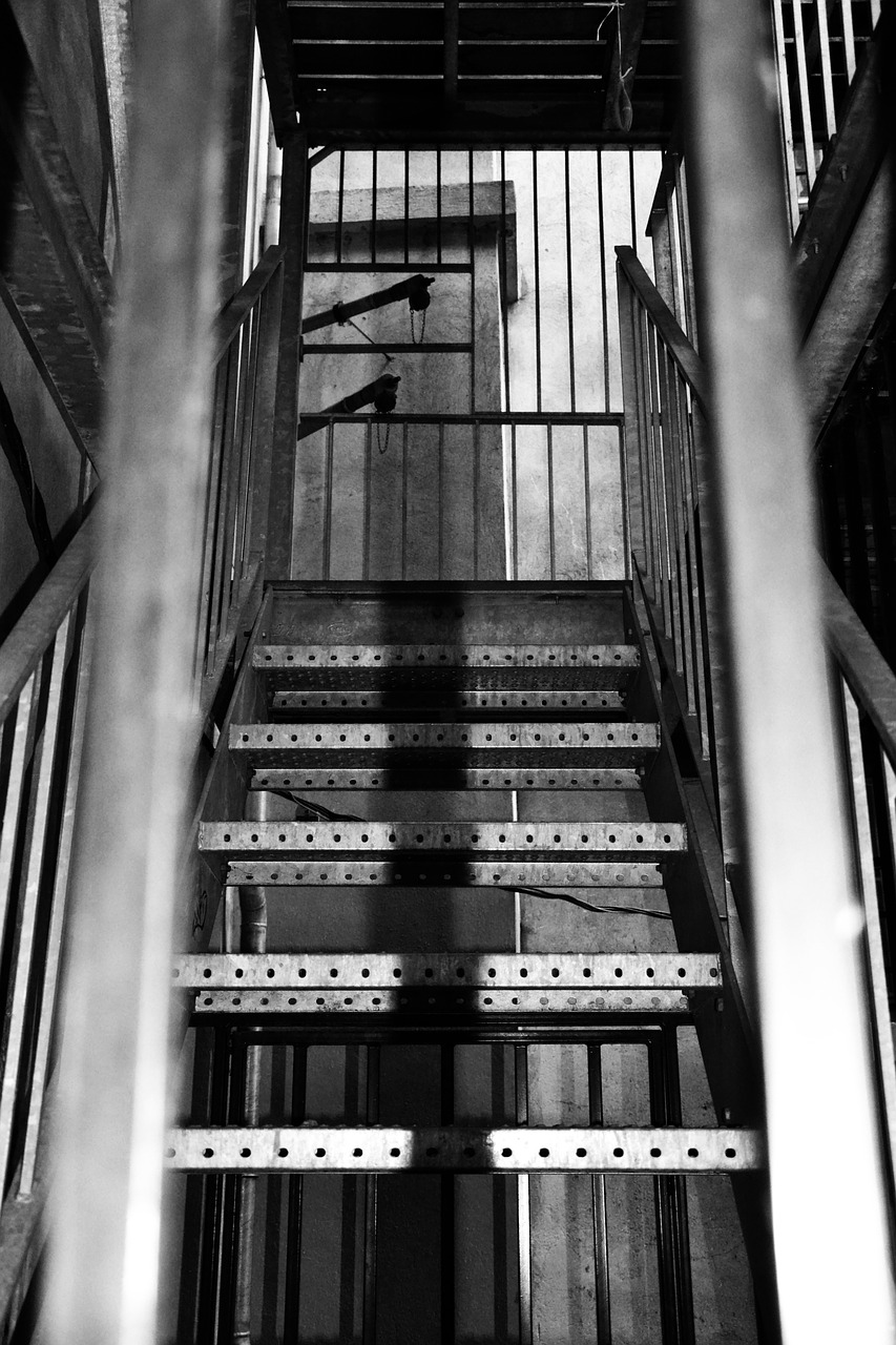 staircase black white perspective free photo