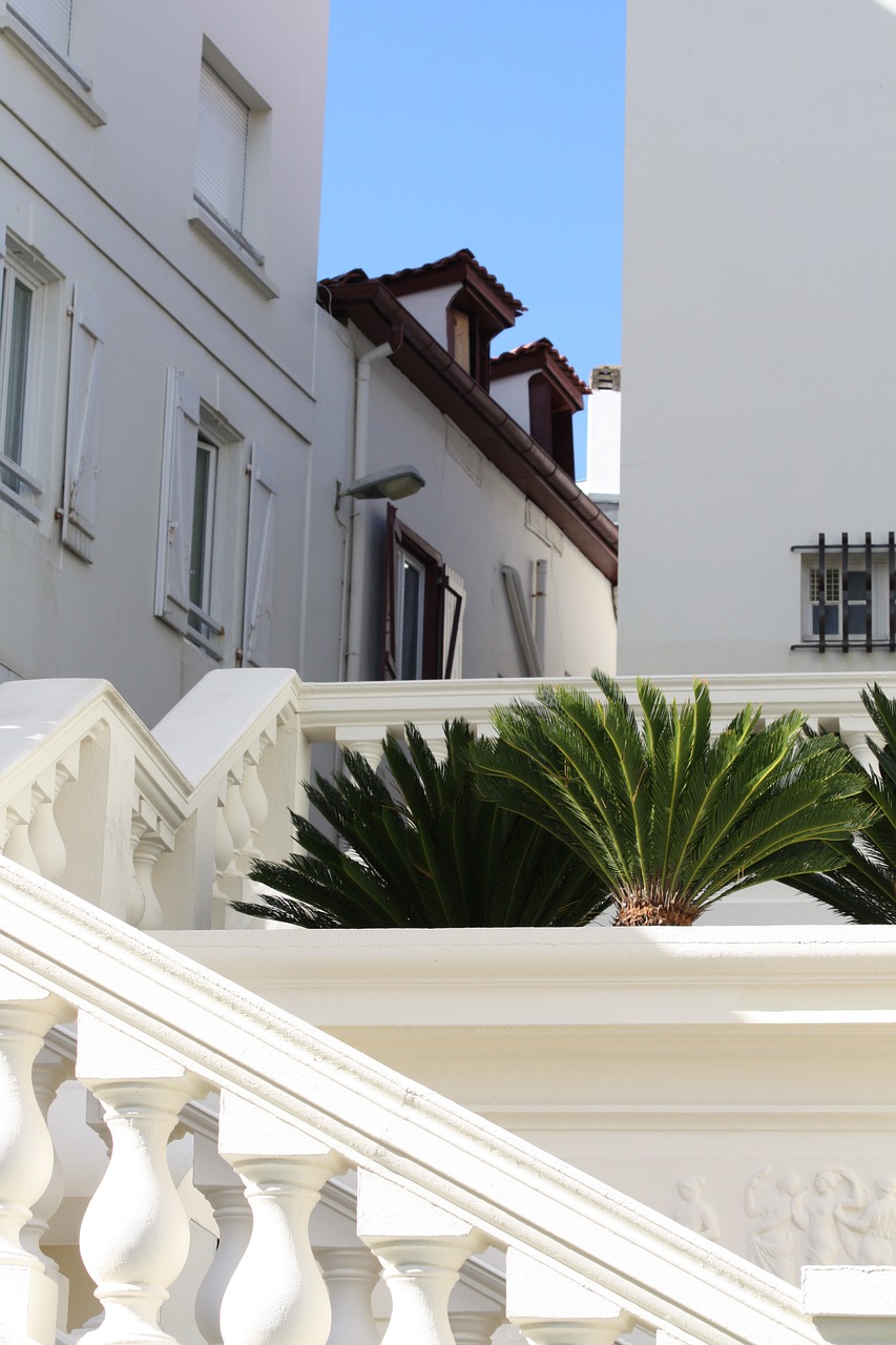 staircase white summer free photo