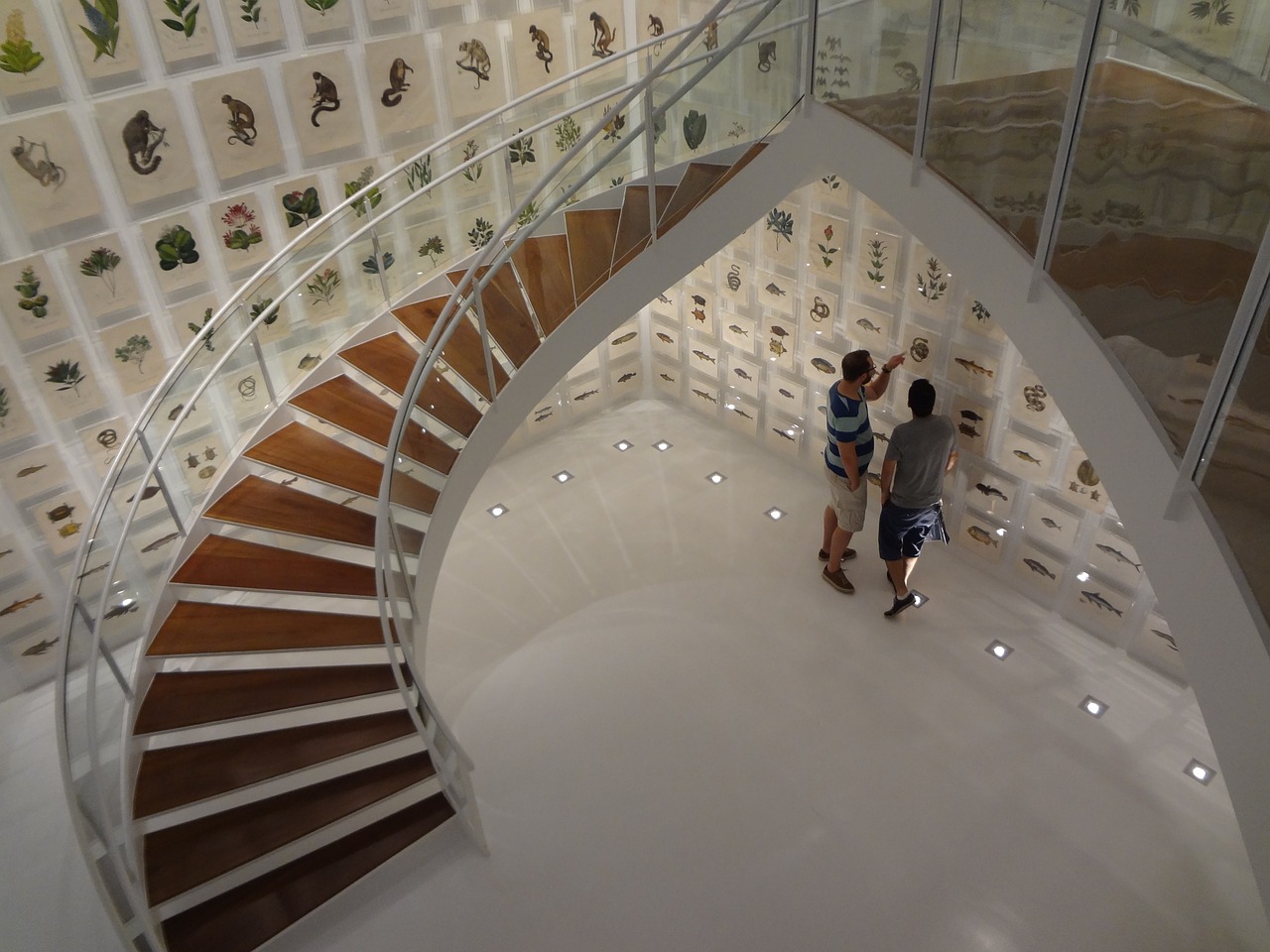 staircase instituto itaú cultural são paulo free photo