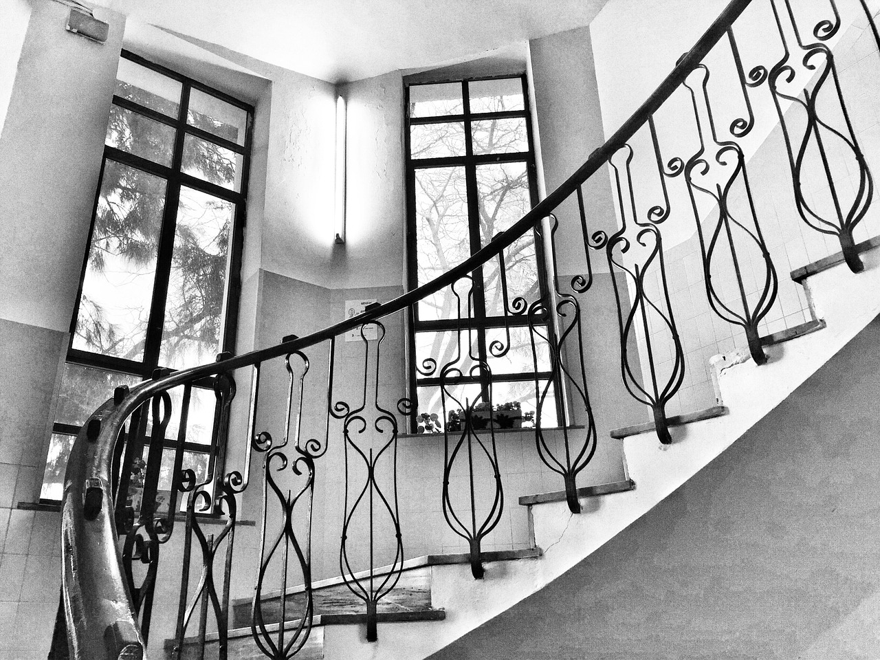 stairs black and white steps free photo