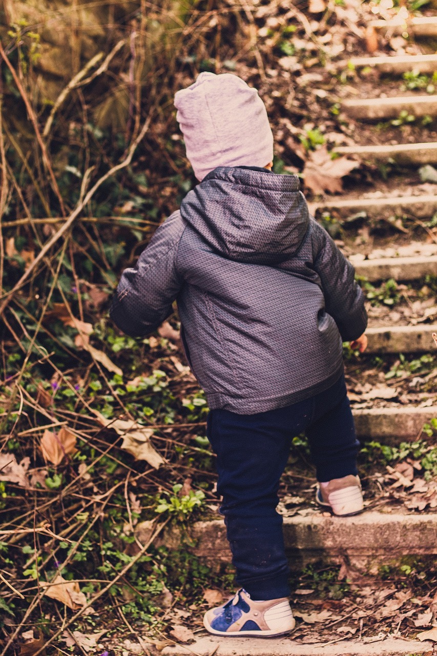 stairs spring child free photo