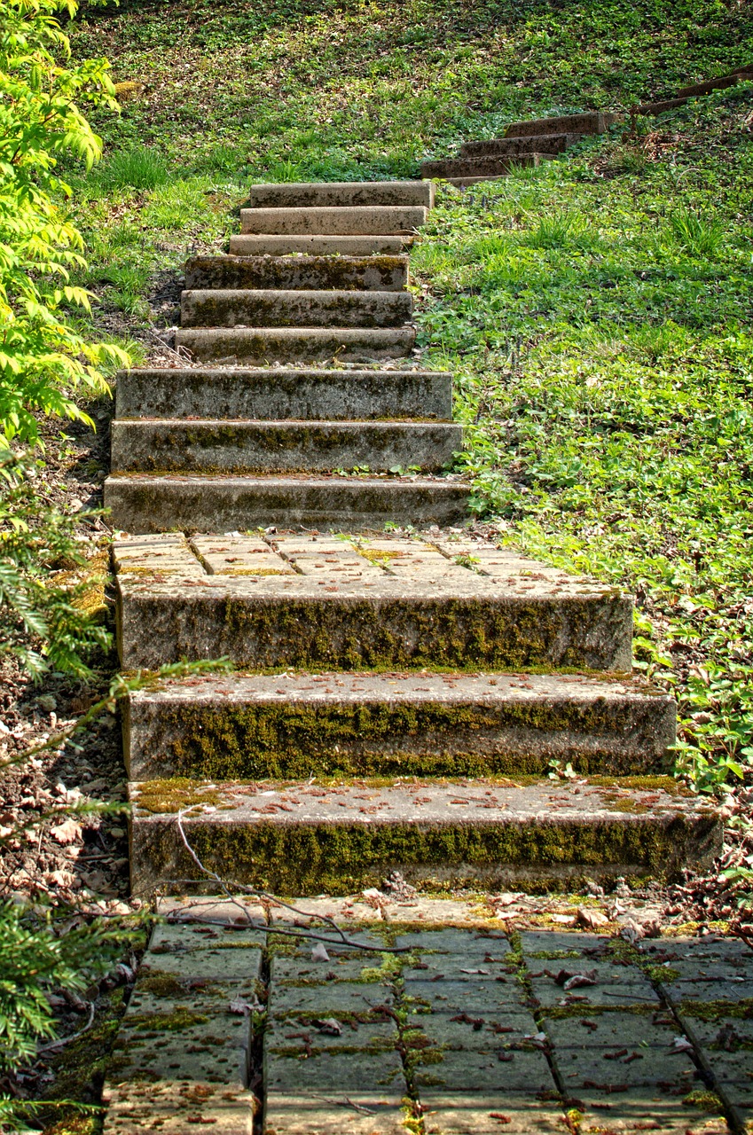 stairs gradually green free photo