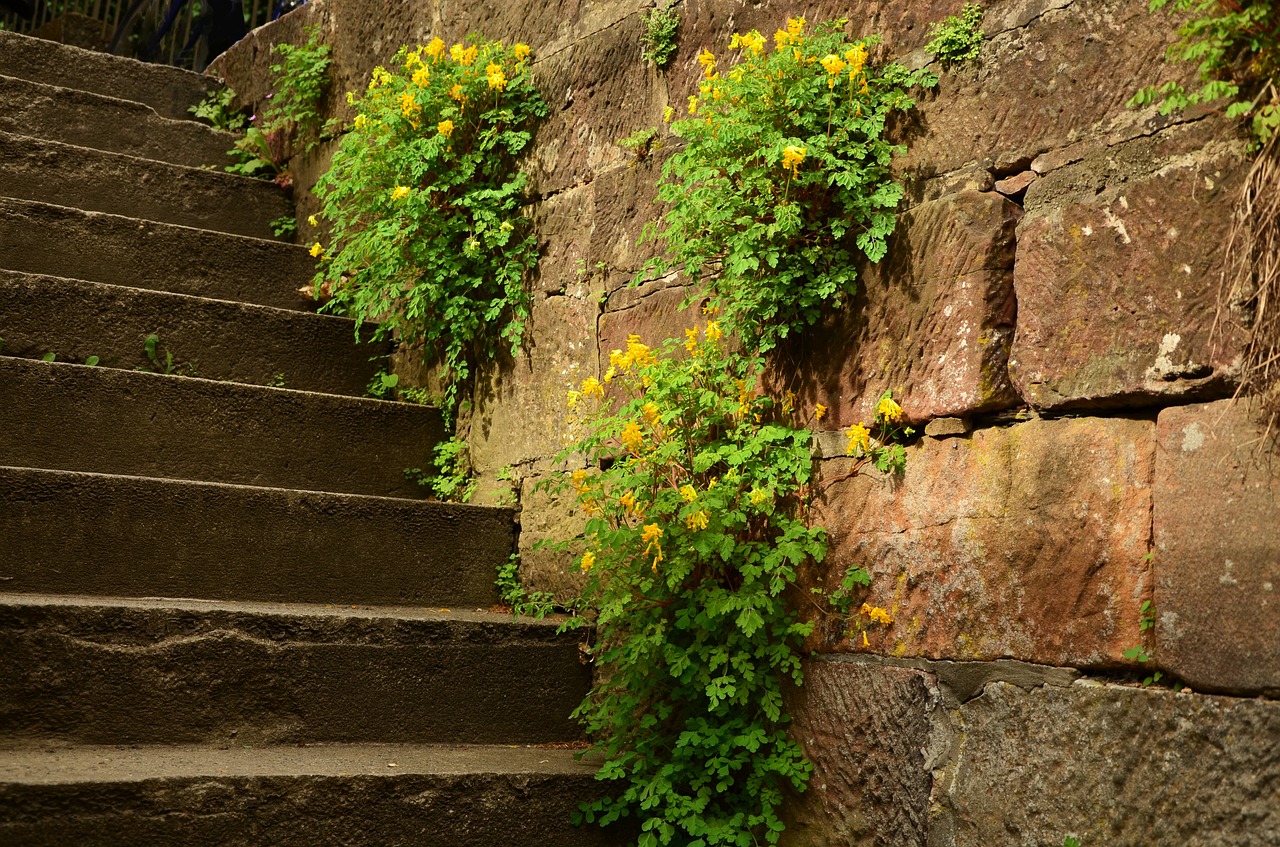 stairs wall stone free photo