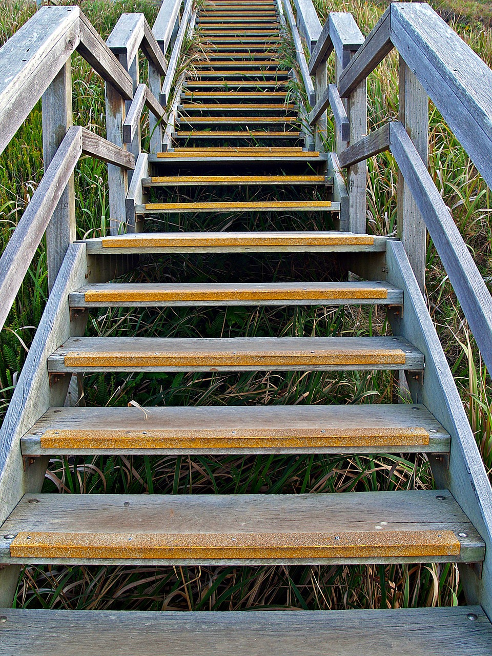 stairs stairway steps free photo
