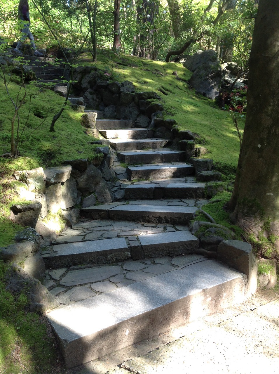 stairs path portland japanese garden free photo