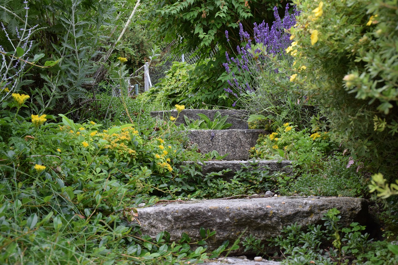 stairs haunting wild free photo