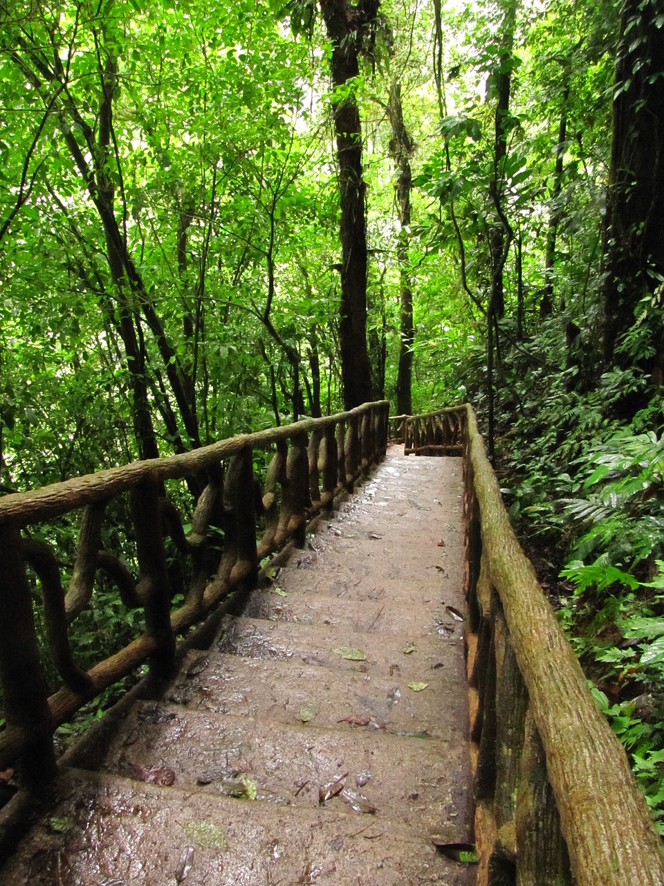 stairs nature celeste river free photo