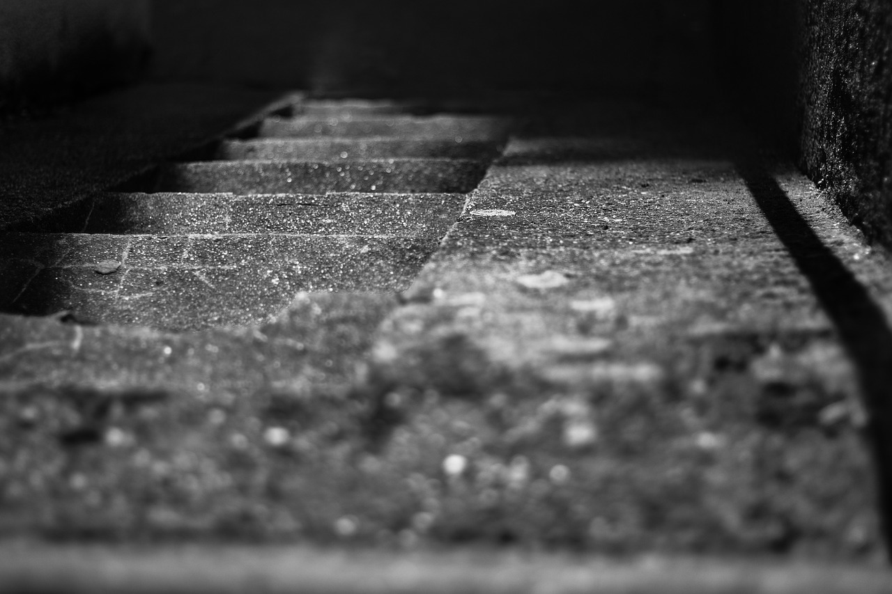 stairs walking dark free photo