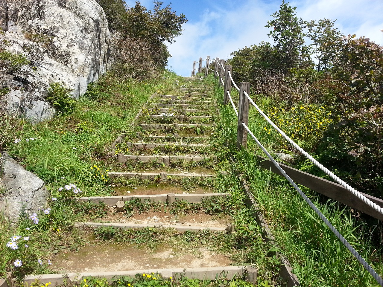 stairs ms when the ranch forest road free photo