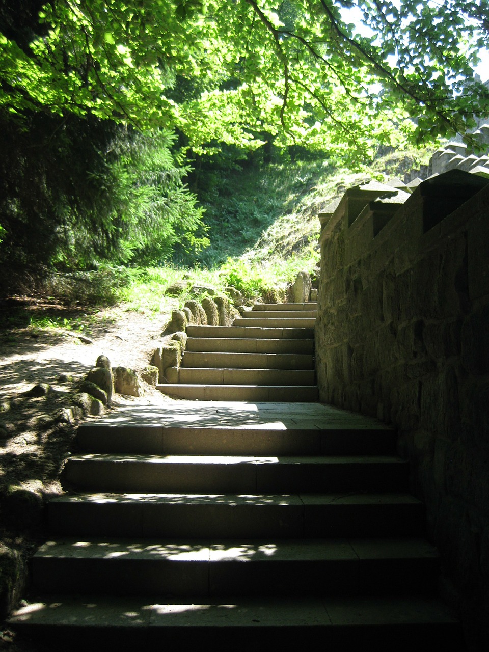 stairs forest lichtspiel free photo