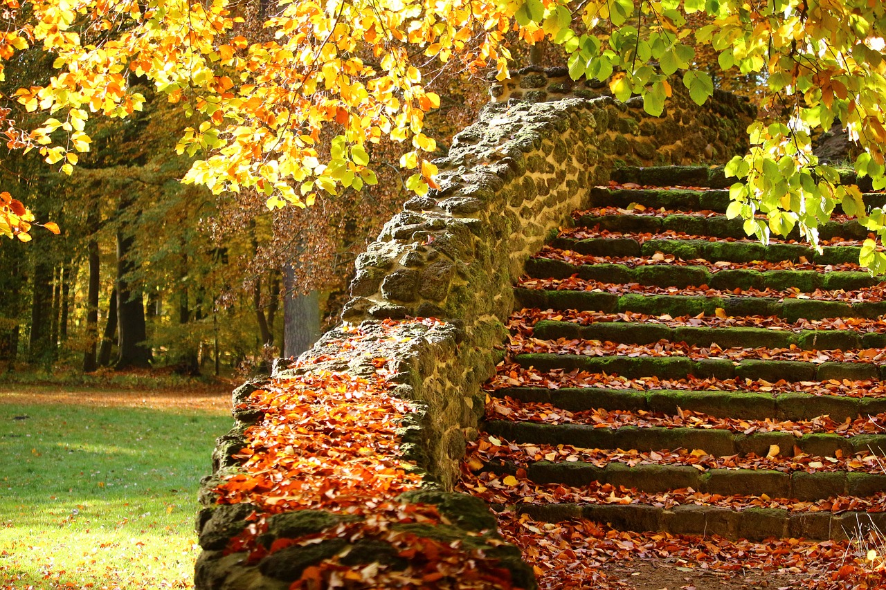 stairs stone steps autumn free photo