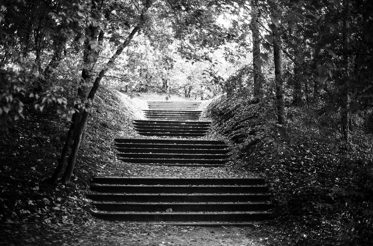 stairs forest mystery free photo