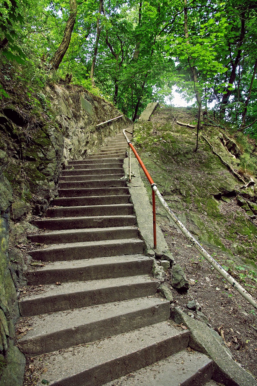 stairs forest summer free photo