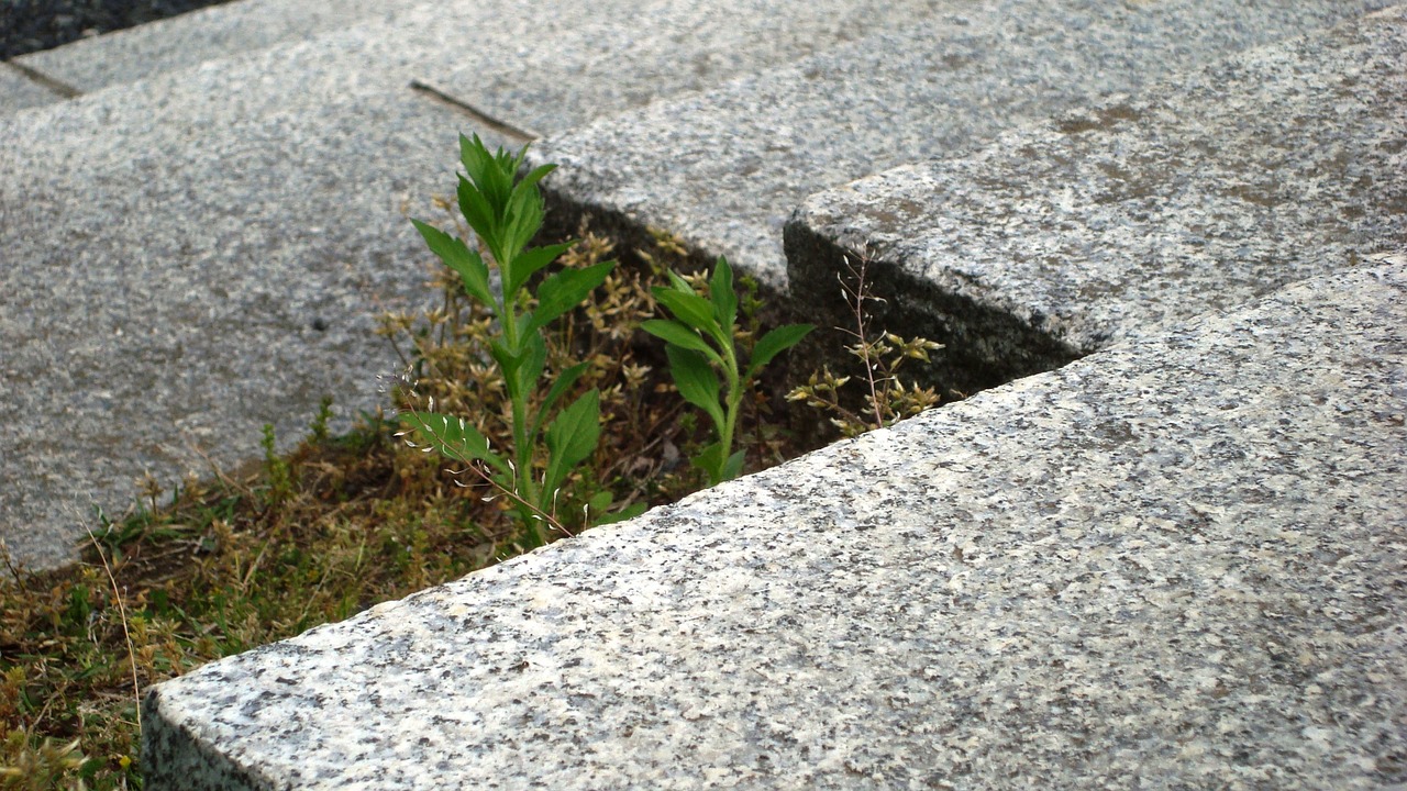 stairs nature granite free photo