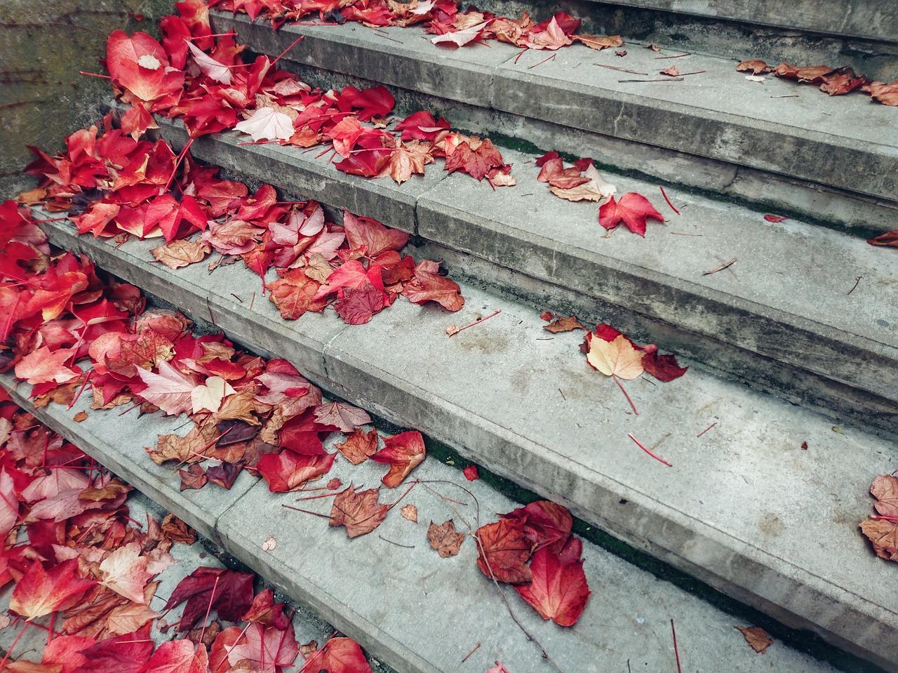 stairs autumn leaves free photo