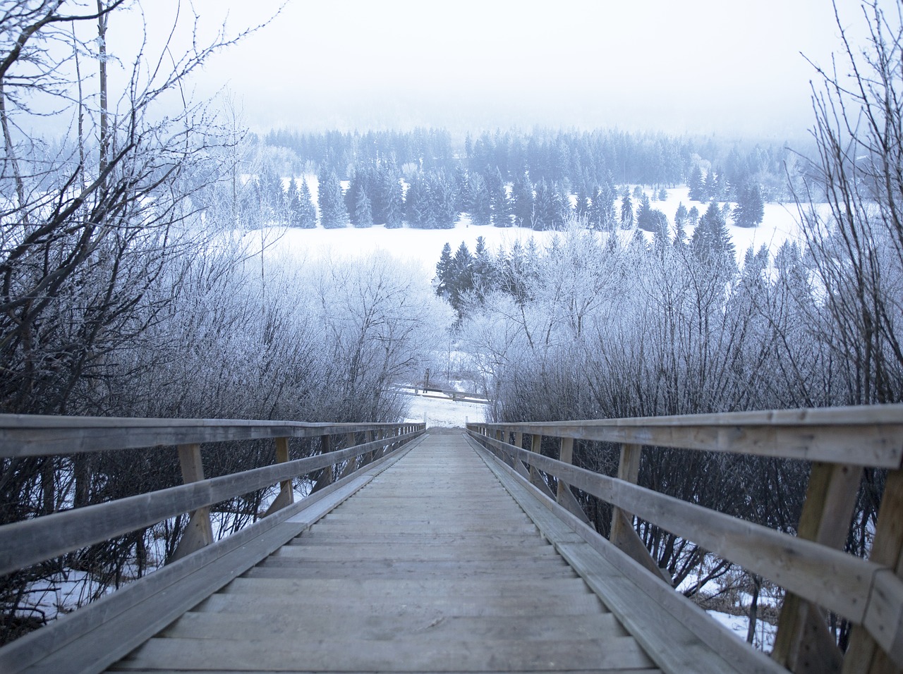 stairs winter cold free photo