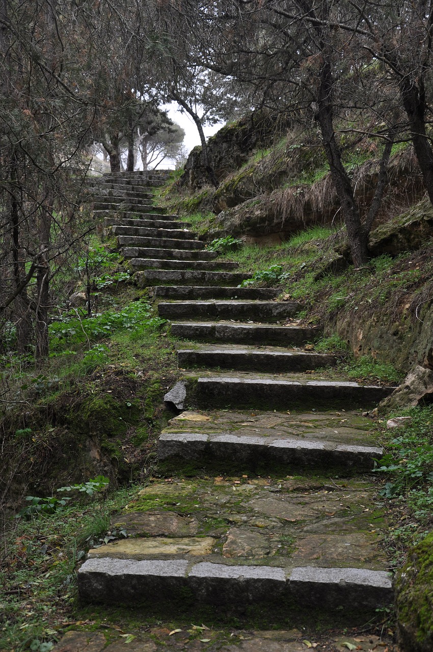 stairs forest nature free photo