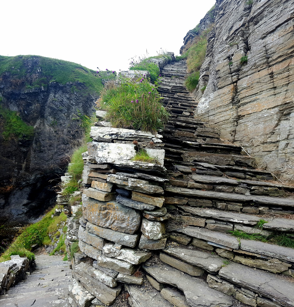 stairs steps hill free photo