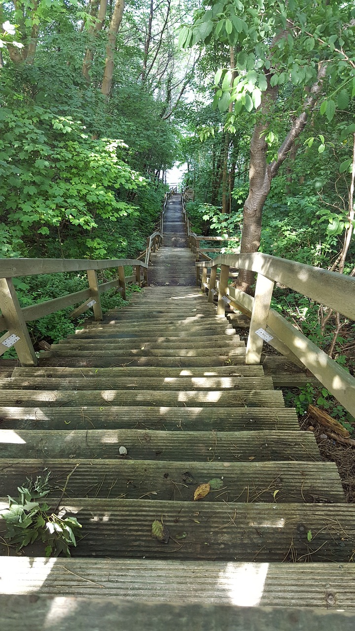 stairs steep down free photo