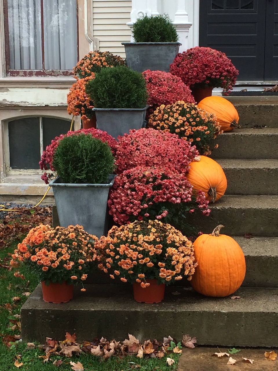 stairs autumn pumpkins free photo