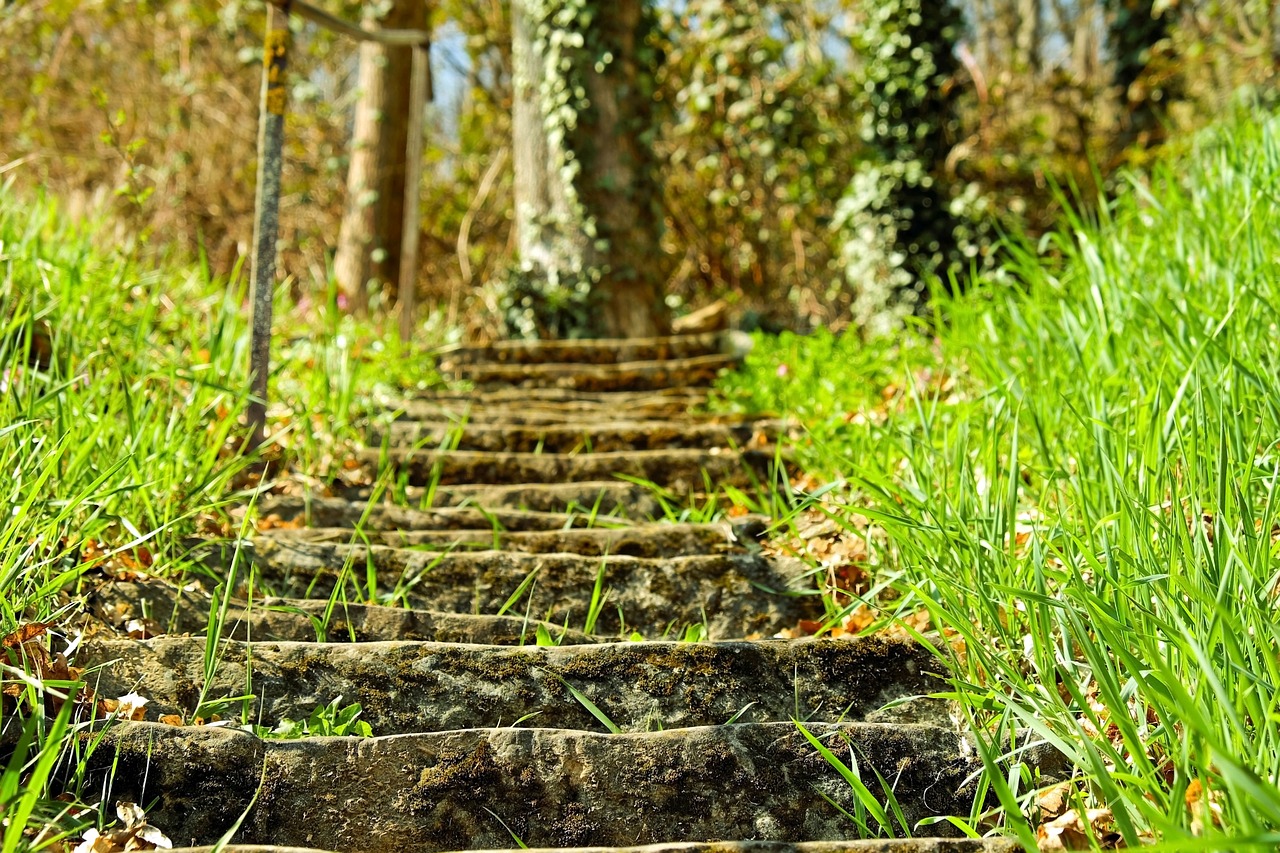 stairs stone steps clumping stone free photo