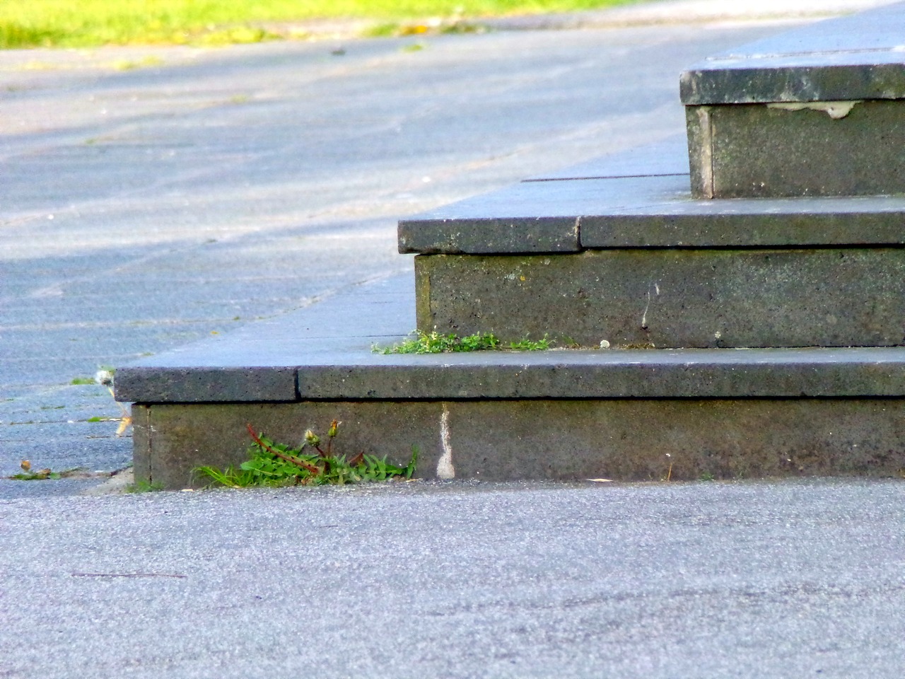 stairs stone grass free photo