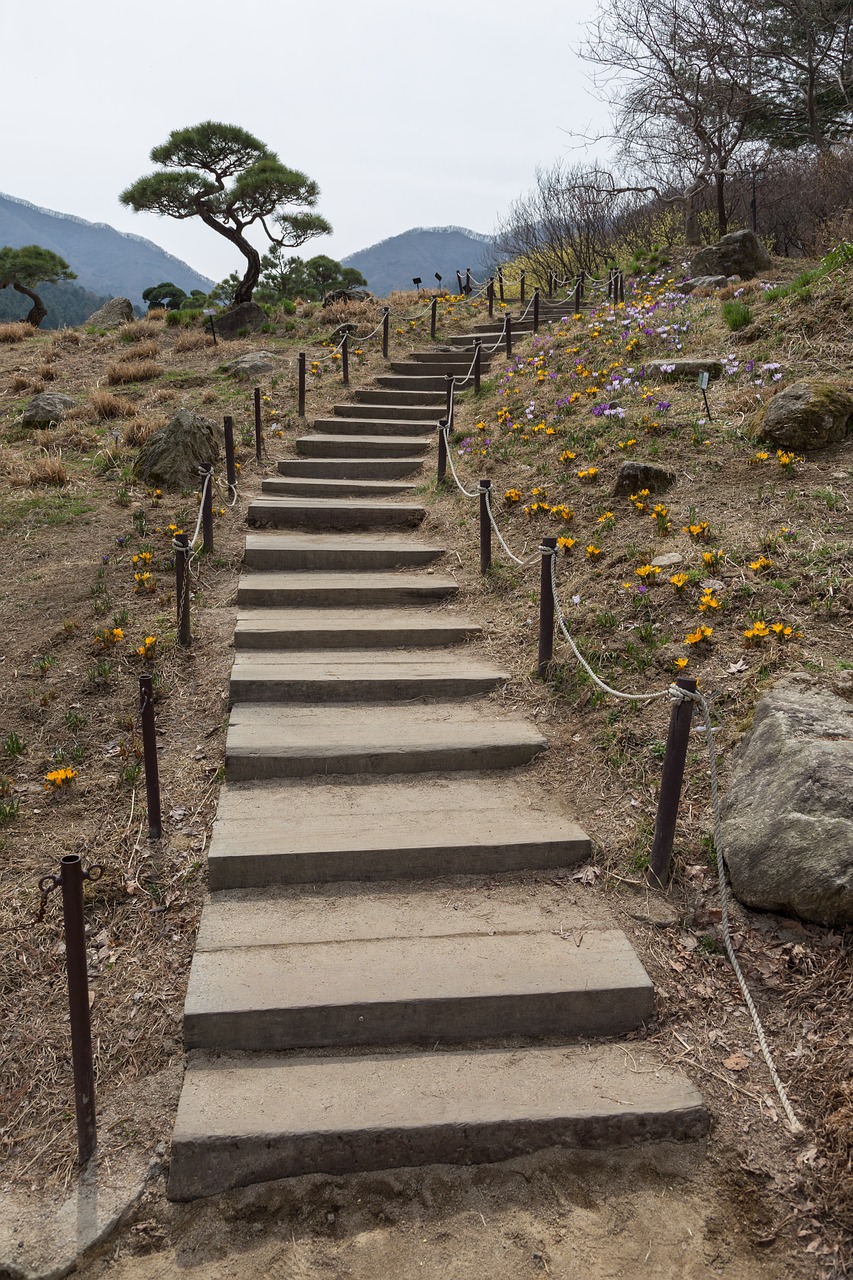 stairs wooden stairs arboretum free photo