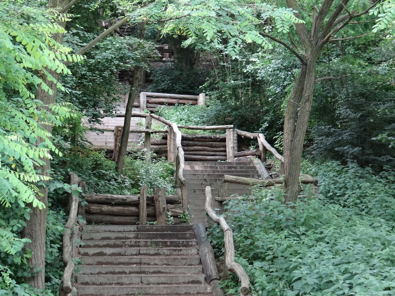 stairs forest nature free photo