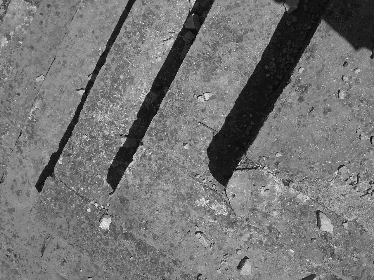 stairs steps black and white free photo