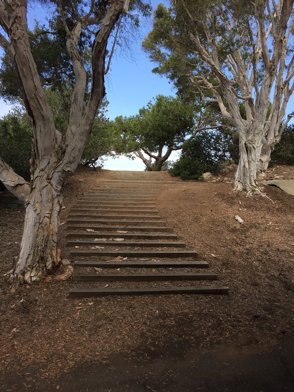 stairs upward reaching goals free photo