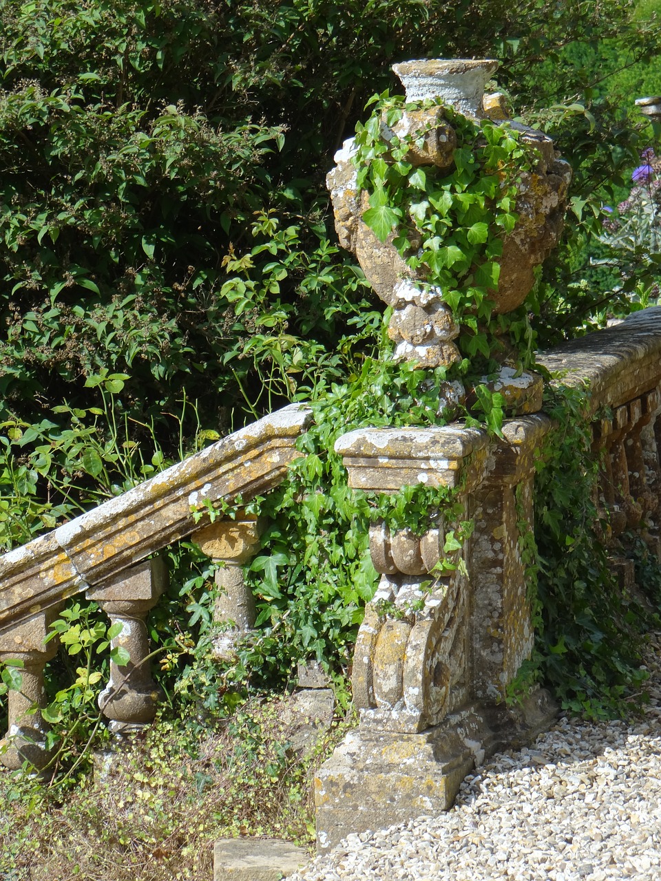 stairs ivy romance free photo