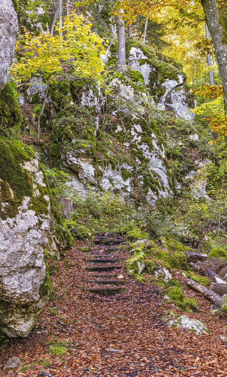 stairs forest stone stairway free photo