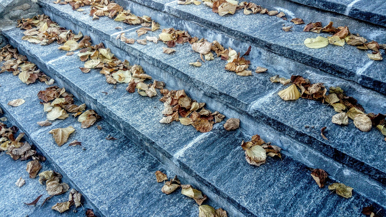 stairs marble autumn leaves free photo