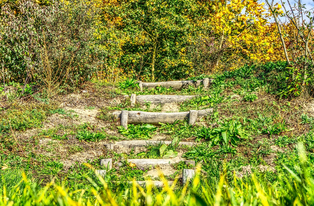 stairs green green area free photo