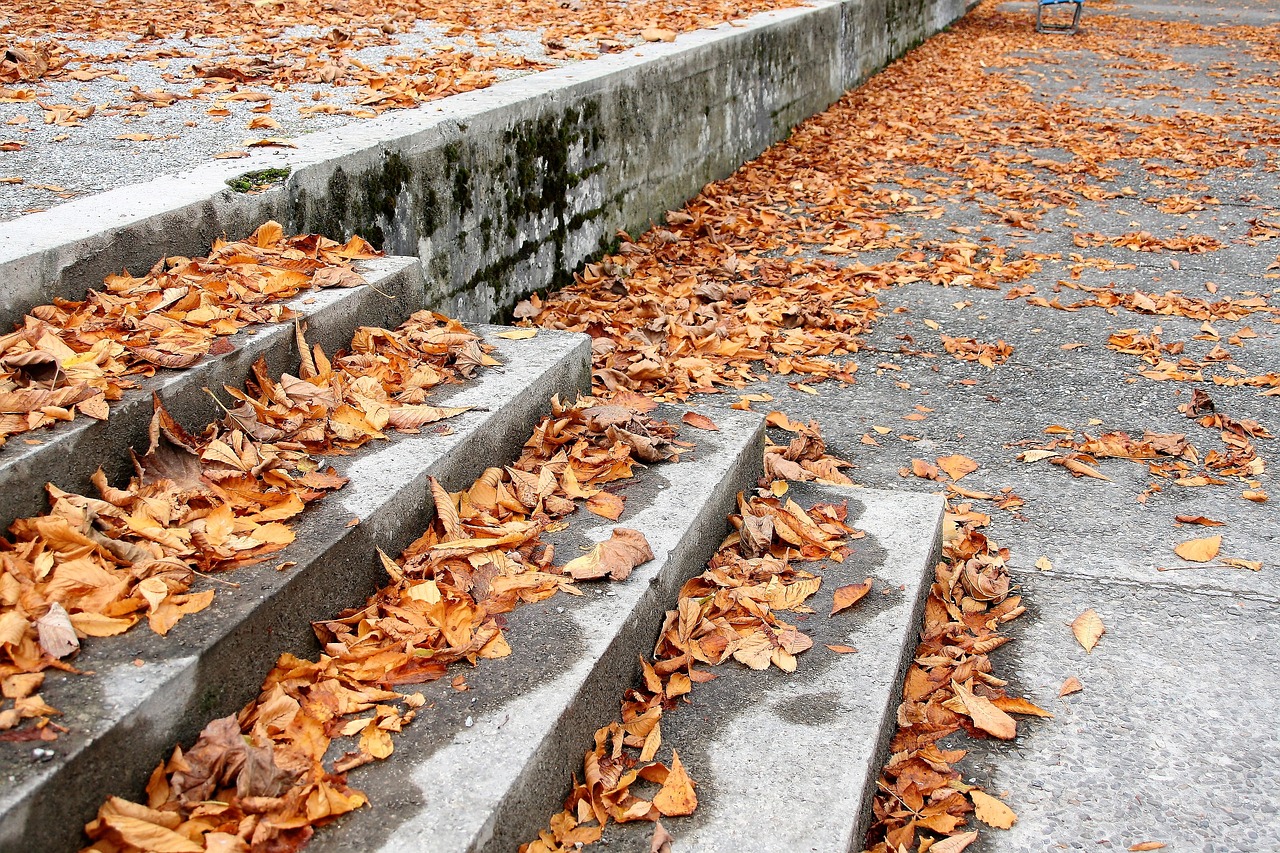 stairs dry leaves october free photo