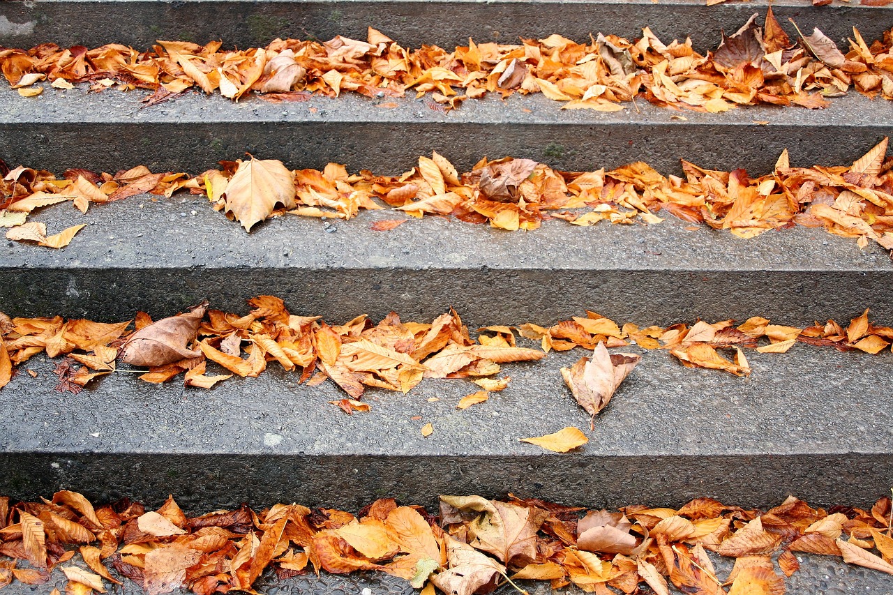 stairs autumn gold dry leaves free photo