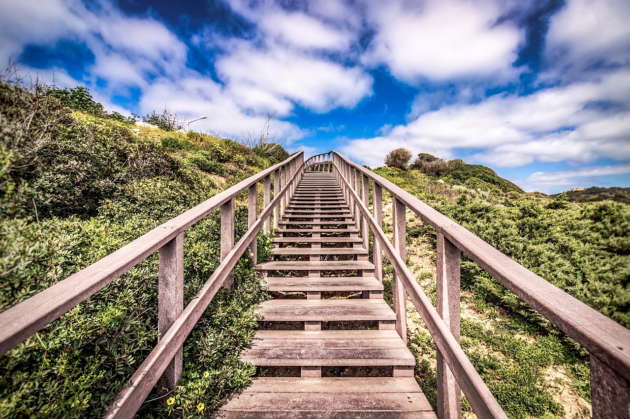 stairs foliage sky free photo