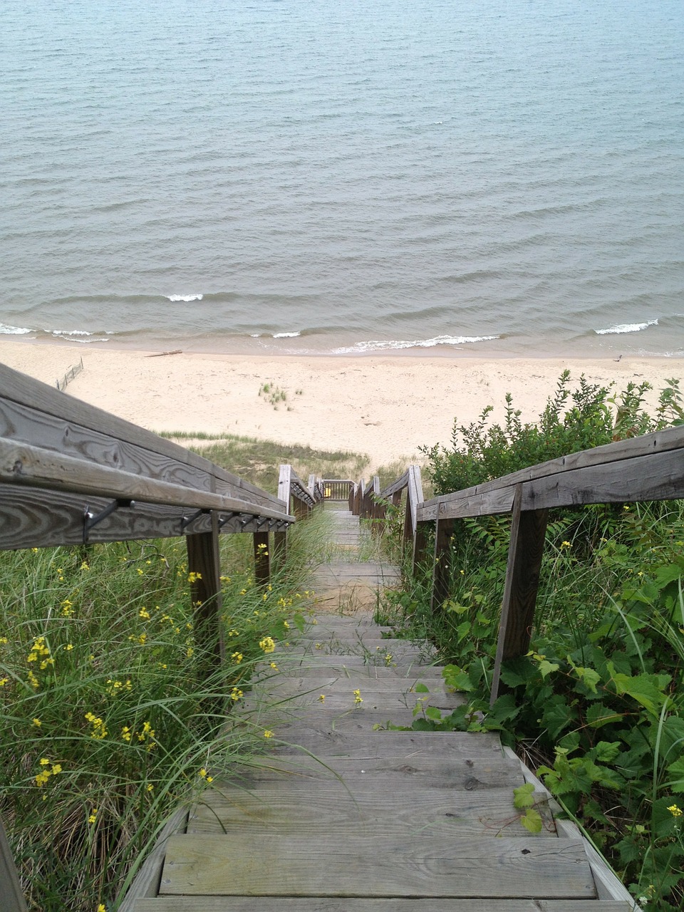 stairs steps long free photo