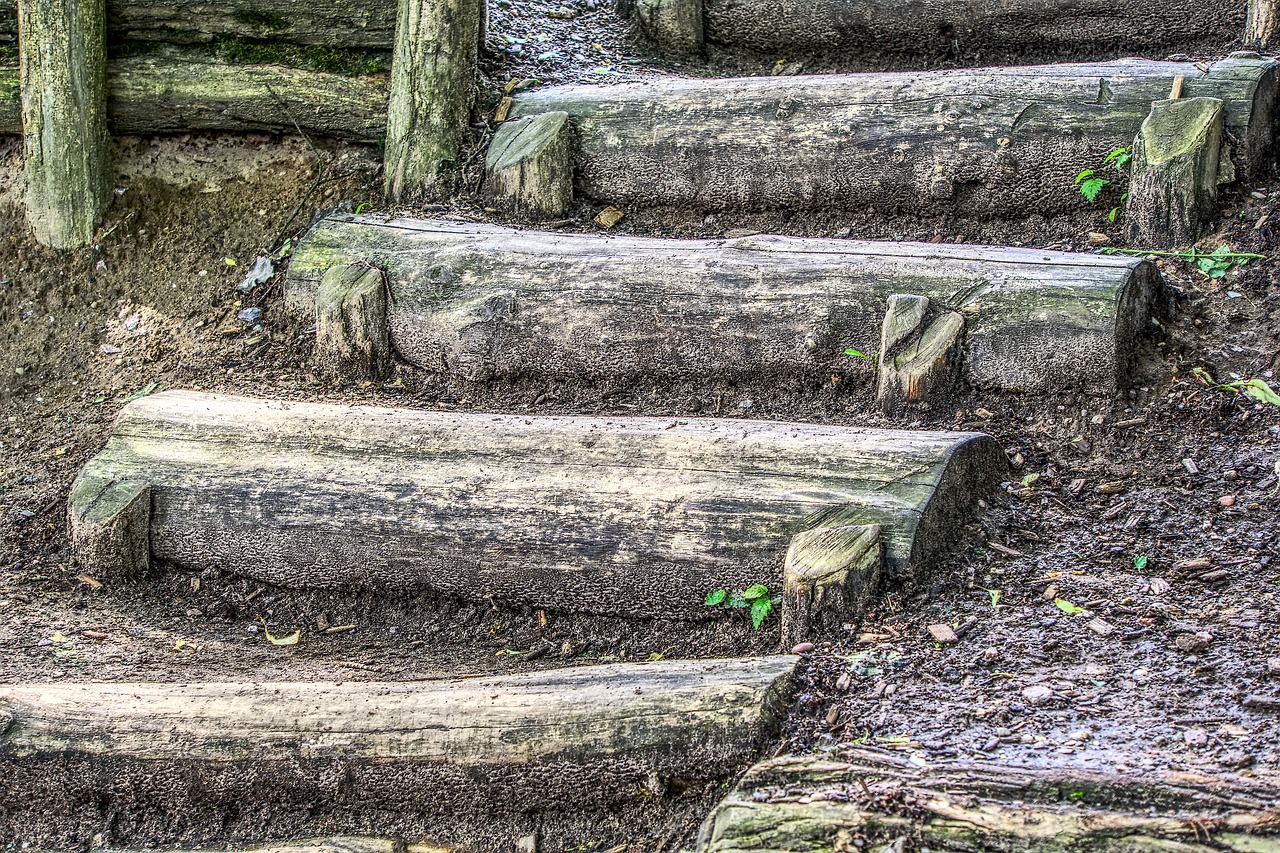 stairs  wood stairs  top free photo