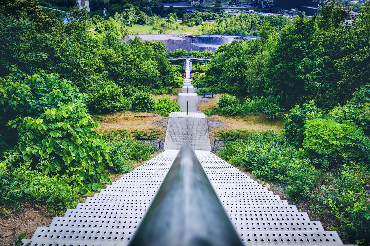 stairs  foliage  landscape free photo